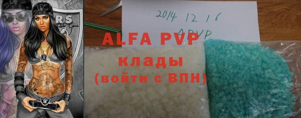 сатива Болотное