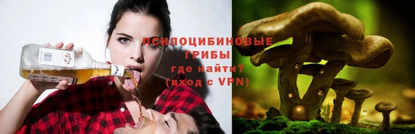 тгк Бородино