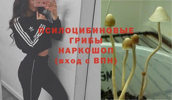 тгк Бородино