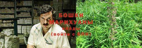 тгк Бородино