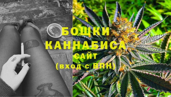 индика Баксан