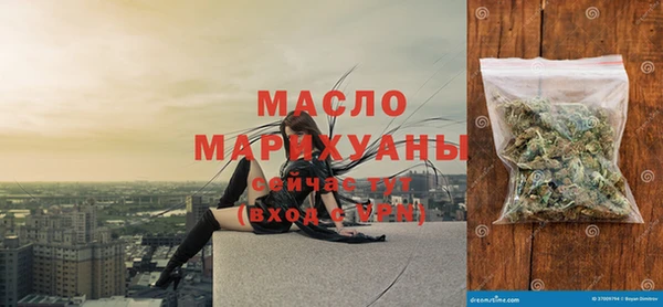 дживик Бронницы