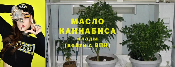 дживик Бронницы